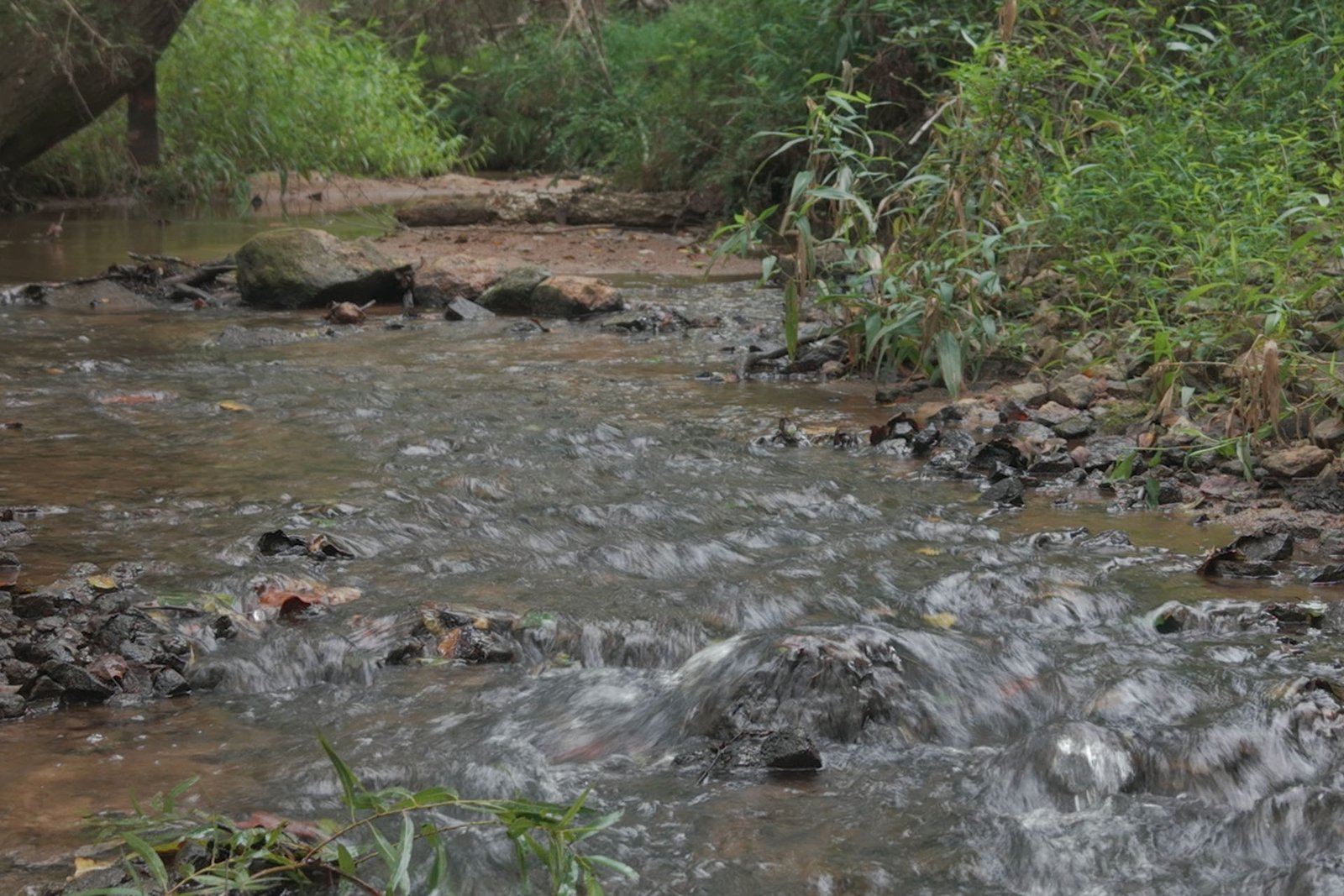 YAZOO II Mitigation Bank