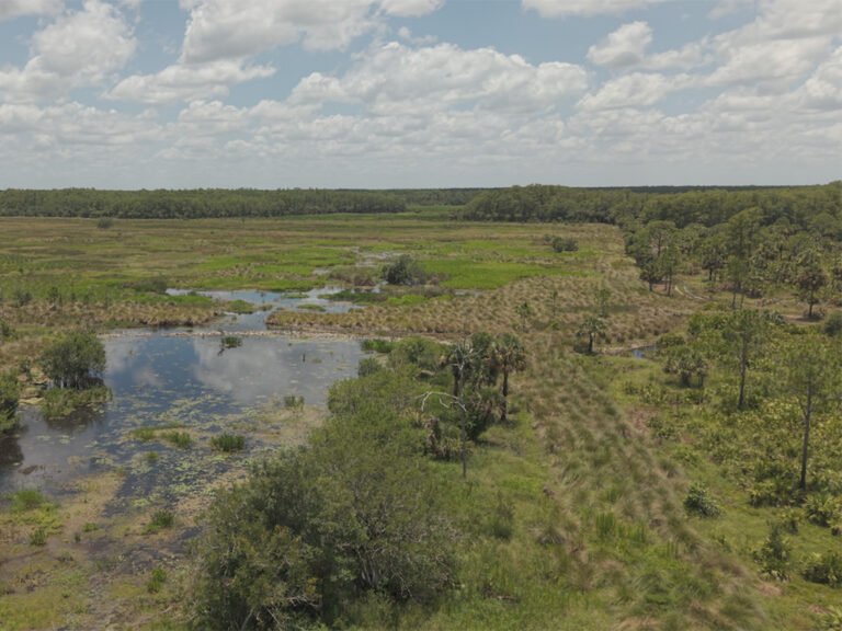 PIMBE - Panther Island Mitigation Bank-1