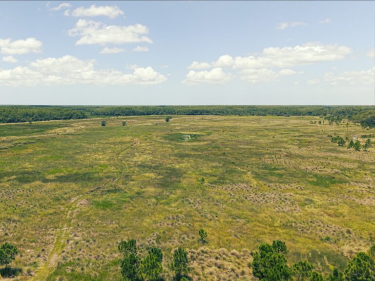 PIMBE - Panther Island Mitigation Bank-11