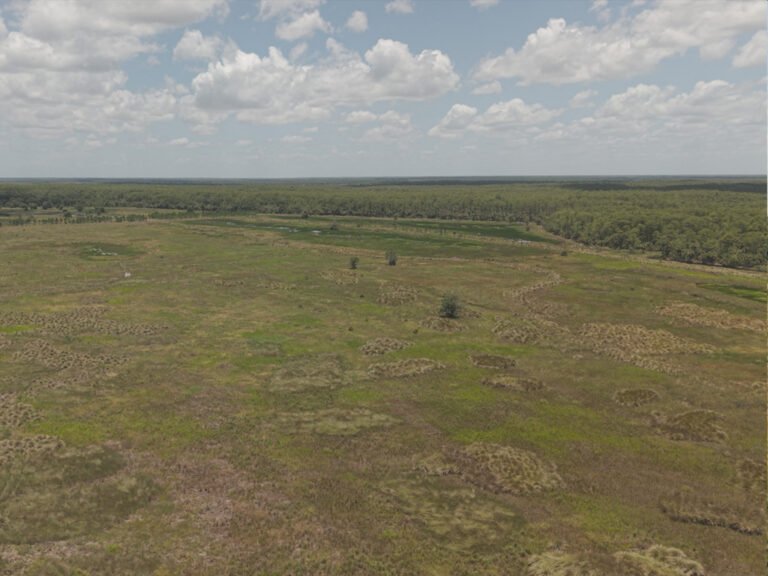 PIMBE - Panther Island Mitigation Bank-12