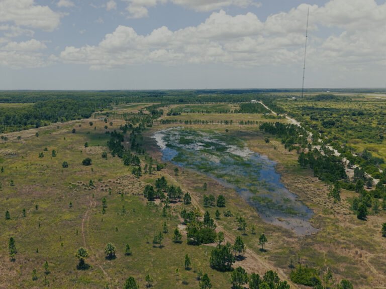 PIMBE - Panther Island Mitigation Bank-2