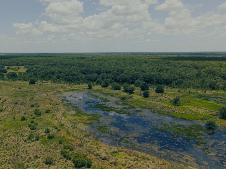 PIMBE - Panther Island Mitigation Bank-3