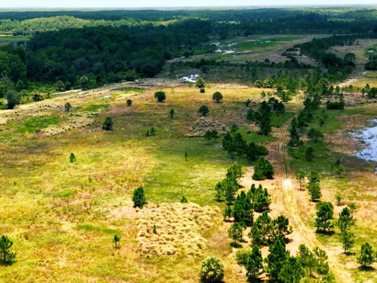 PIMBE - Panther Island Mitigation Bank-4