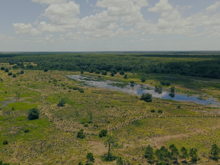 PIMBE - Panther Island Mitigation Bank-5