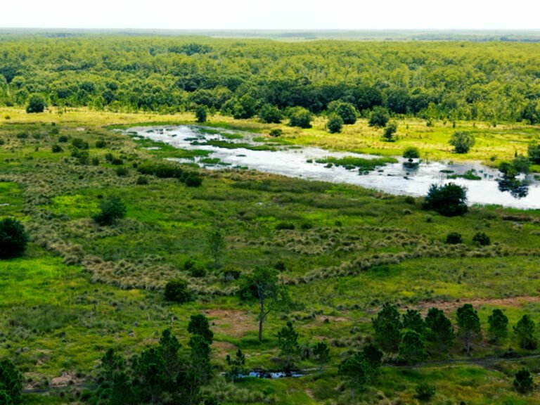 PIMBE - Panther Island Mitigation Bank-6