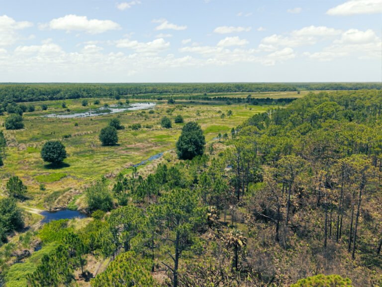 PIMBE - Panther Island Mitigation Bank-7