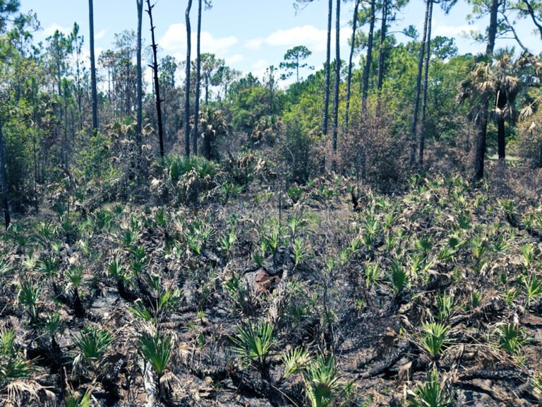 PIMBE - Panther Island Mitigation Bank-8