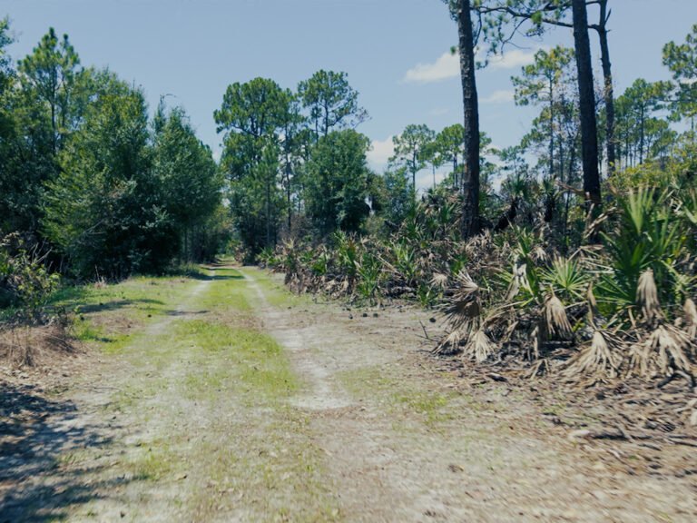 PIMBE - Panther Island Mitigation Bank-9