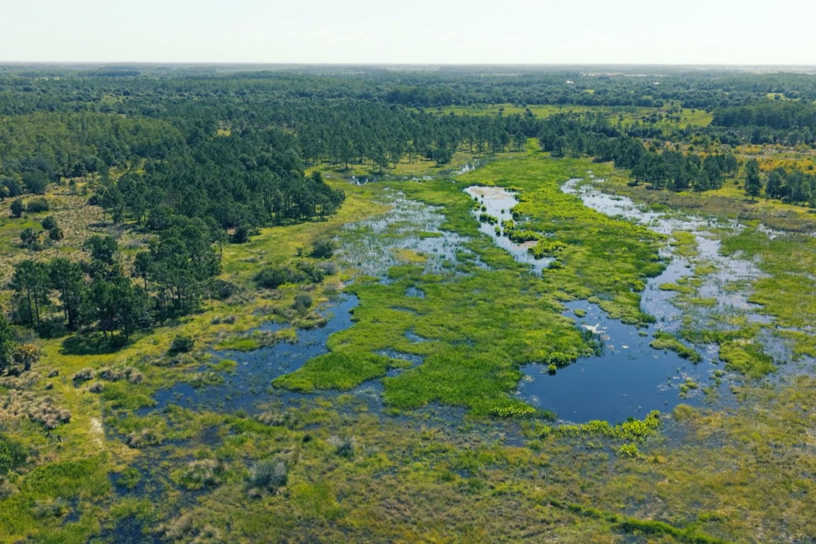 Corkscrew Regional Mitigation Bank
