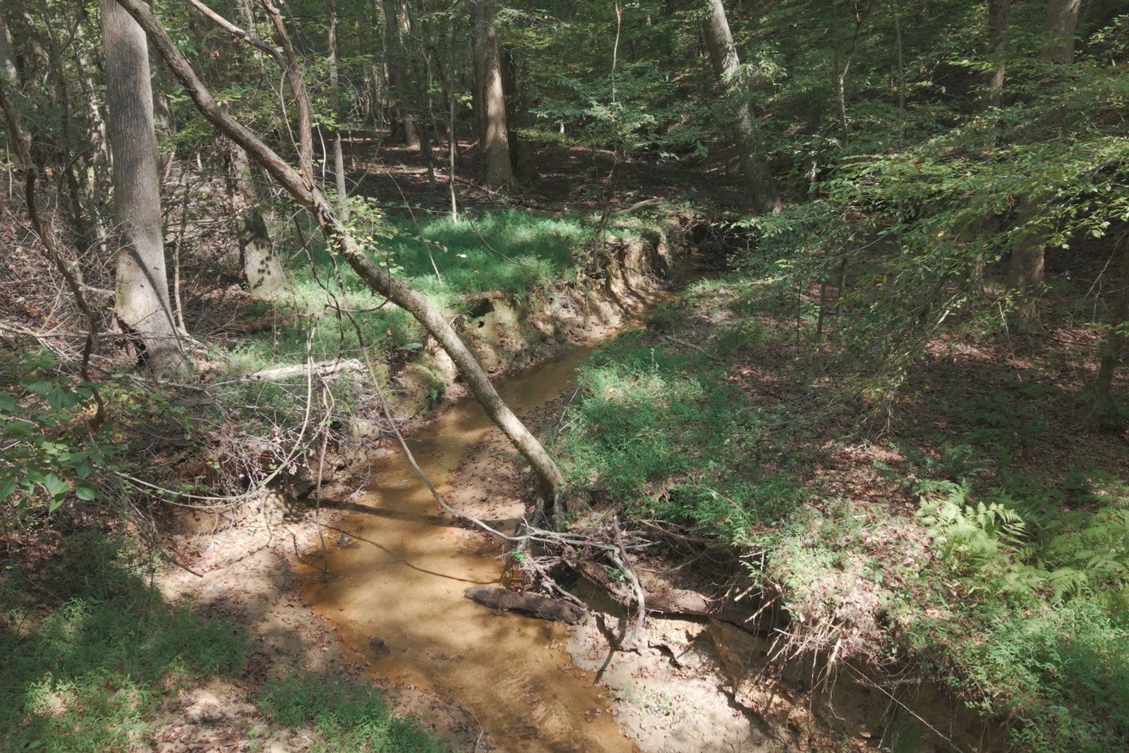 Devils Pond DPMB