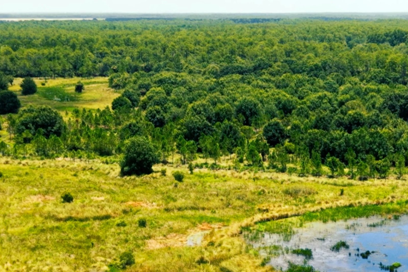 Panther Island Mitigation Bank