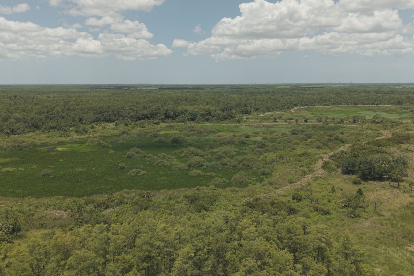 Panther Passage Mitigation Bank