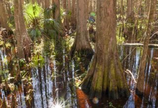 1000_F_959495145_MmfxVyNo710p06hETjsUOCW9KiqkHrs6